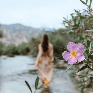 The Desert Rose Membership